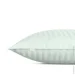    Cosas PISTACHIO CS3 (4822052382219)