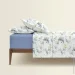    Cosas        FLORET CS20 (4822052437254)