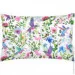   Cosas KOLIBRI CS2 (4822052193822)