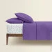    Cosas LAVENDER CS6 (4822052135327)