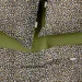    Cosas LEOPARD CS1 (4822052125205)