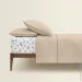   Cosas MAGNOLIA CS5 (4822052132630)