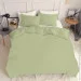 Cosas   OLIVE (4822052051450)