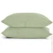    Cosas OLIVE CS2 (4822052376119)