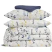   Cosas     PASTEL BLOOM CS1 (4822052420645)