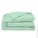    Cosas PISTACHIO CS1 (4822052381717)
