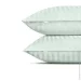    Cosas PISTACHIO CS3 (4822052384305)
