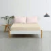 Cosas     ROSE DOTS & BISCUIT (4822052060650)