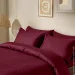    Cosas SANGRIA CS1 (4822052179321)