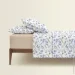    Cosas        STEPPE FLOWERS CS5 (4822052440322)