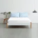 Cosas     WHITE ZIGZAG BLUE (4822052060636)