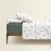    Cosas ѳ       WILDFLOWER DREAMS CS2 (4822052415221)