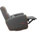   Cougar Fidom Gray