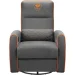   Cougar Fidom Gray