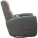   Cougar Fidom Gray
