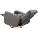  Cougar Fidom Gray