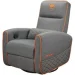   Cougar Fidom Gray