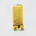  Coverbag    Pantone S -  (2000903267218A)