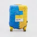  Coverbag    Pantone S -  (2000903267218A)