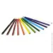 Crayola  , 12  (256245.024)