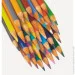 Crayola  , 12  (256245.024)