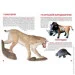Crystal Book  " .  " (), 139511 (F00010885)