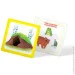  Crystal Book   "   " (), 235532 (F00031157)
