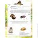 Crystal Book   .     () 978-966-936-175-2