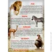 Crystal Book   .     () 978-966-936-175-2