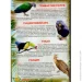 Crystal Book   .     () 978-966-936-175-2