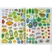 Crystal Book  .    (9786175474228)