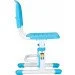    Cubby Botero Blue