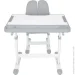     FunDesk  +   Vivo Grey Cubby