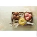 Cuisinart  Cool Scoops ICE21E (ICE21E)