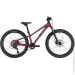  Cyclone 24" DREAM 12" Գ () (25-913)