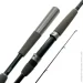  Daiwa  Exceler 802MHFS 2.44 m 15-50 g (1102-11018-06)