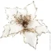 Dalian Everglory       