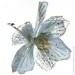 Dalian Everglory    