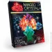   Danko Toys      "MAGIC CRYSTAL" -01 (Fiery Flower) (OMC-01-08)