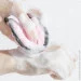  Darshan       3   GS360-