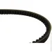   Dayco 17A1080C