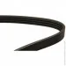   Dayco 4PK855