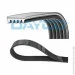   Dayco 5PK1100