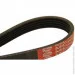   Dayco 5PK1300