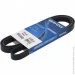  Dayco 5PK1650
