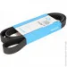   Dayco 6PK1600