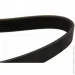   Dayco 6PK1700