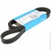   Dayco 6PK1750