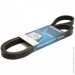   Dayco 6PK2195