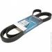   Dayco 6PK2300